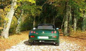 278 - herbst-10.jpg