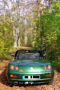 276 - herbst-11.jpg