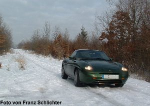10 - winter9.jpg